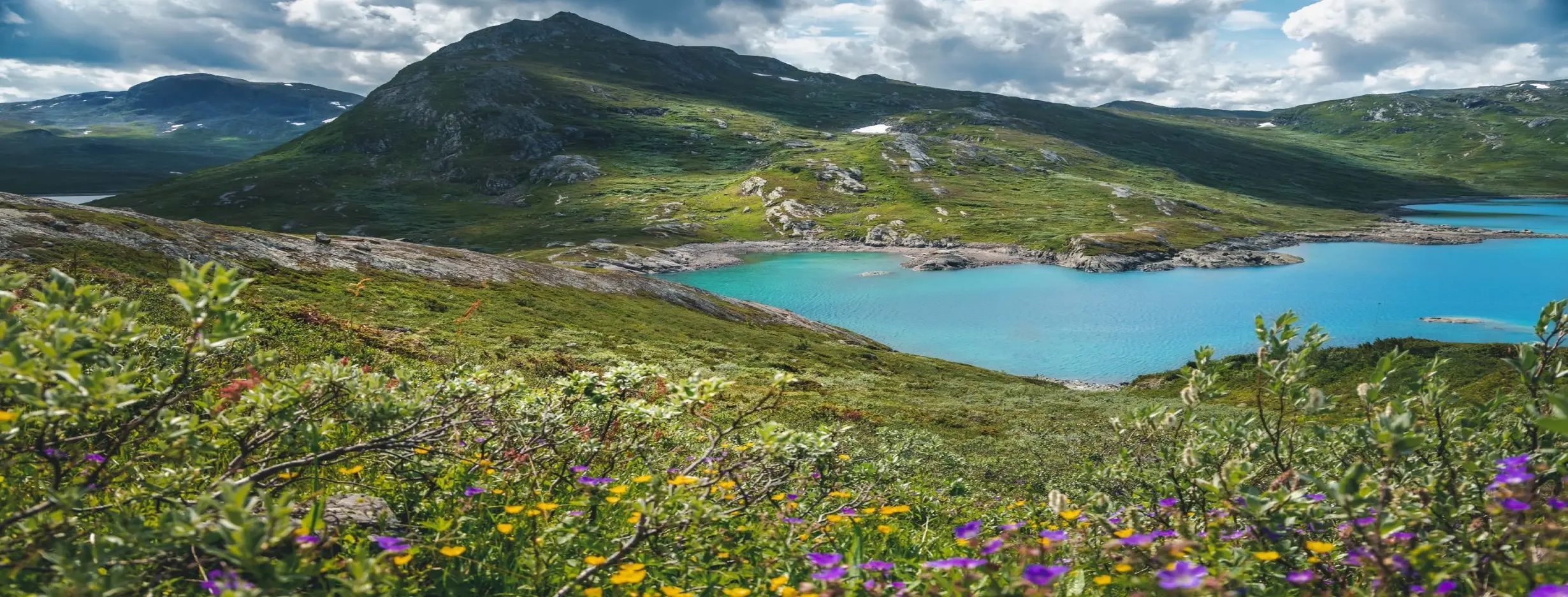 Image for A Paradise for Nature Enthusiasts